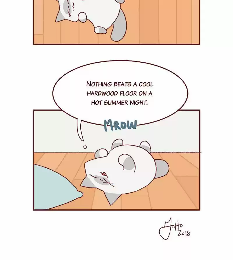 Saphie: The One-Eyed Cat 209