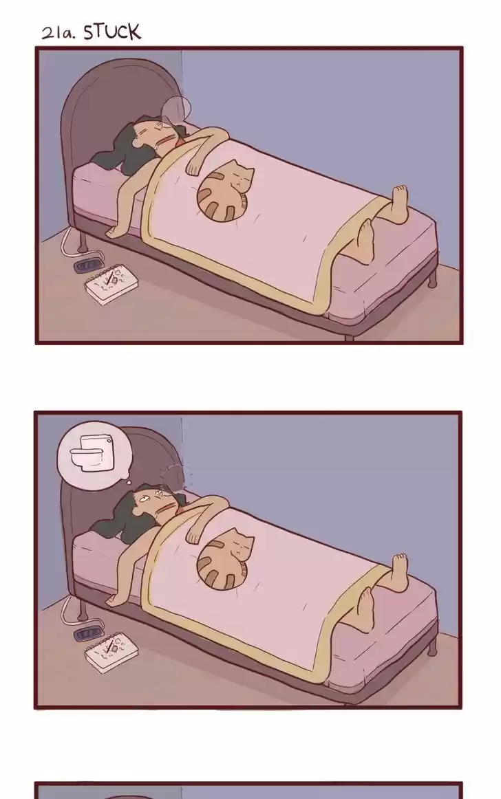 Saphie: The One-Eyed Cat 21