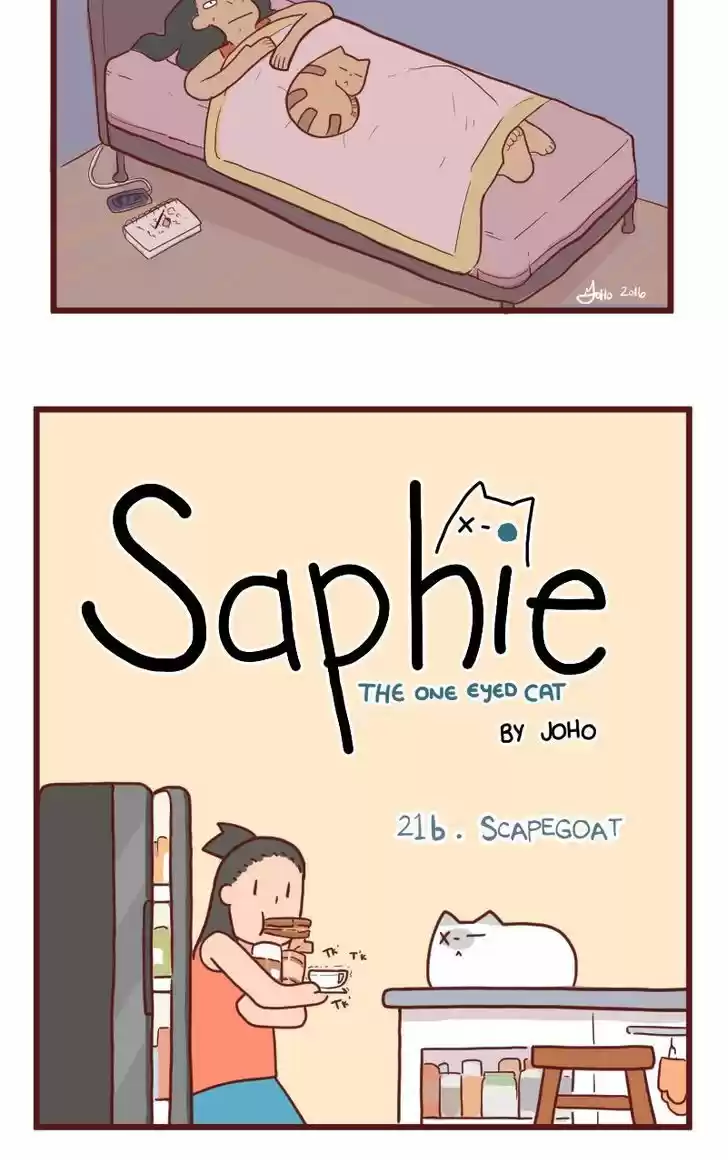 Saphie: The One-Eyed Cat 21