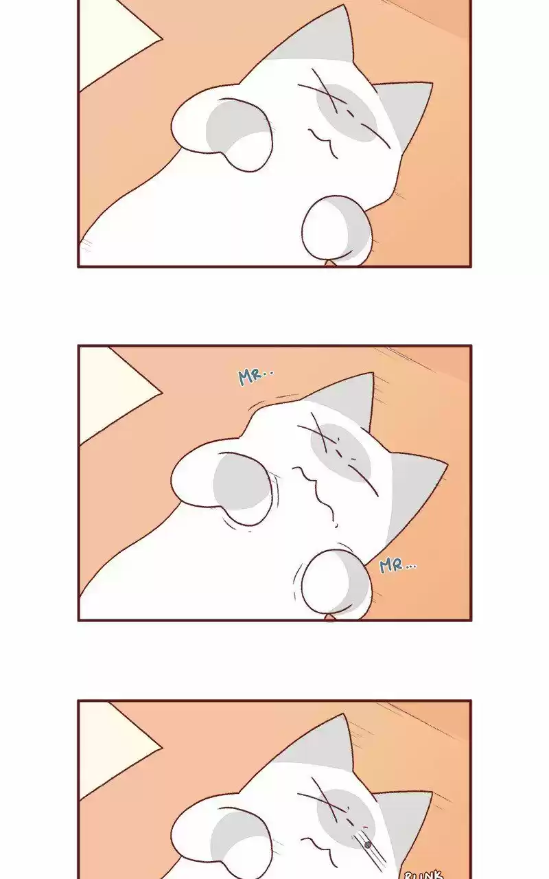 Saphie: The One-Eyed Cat 211