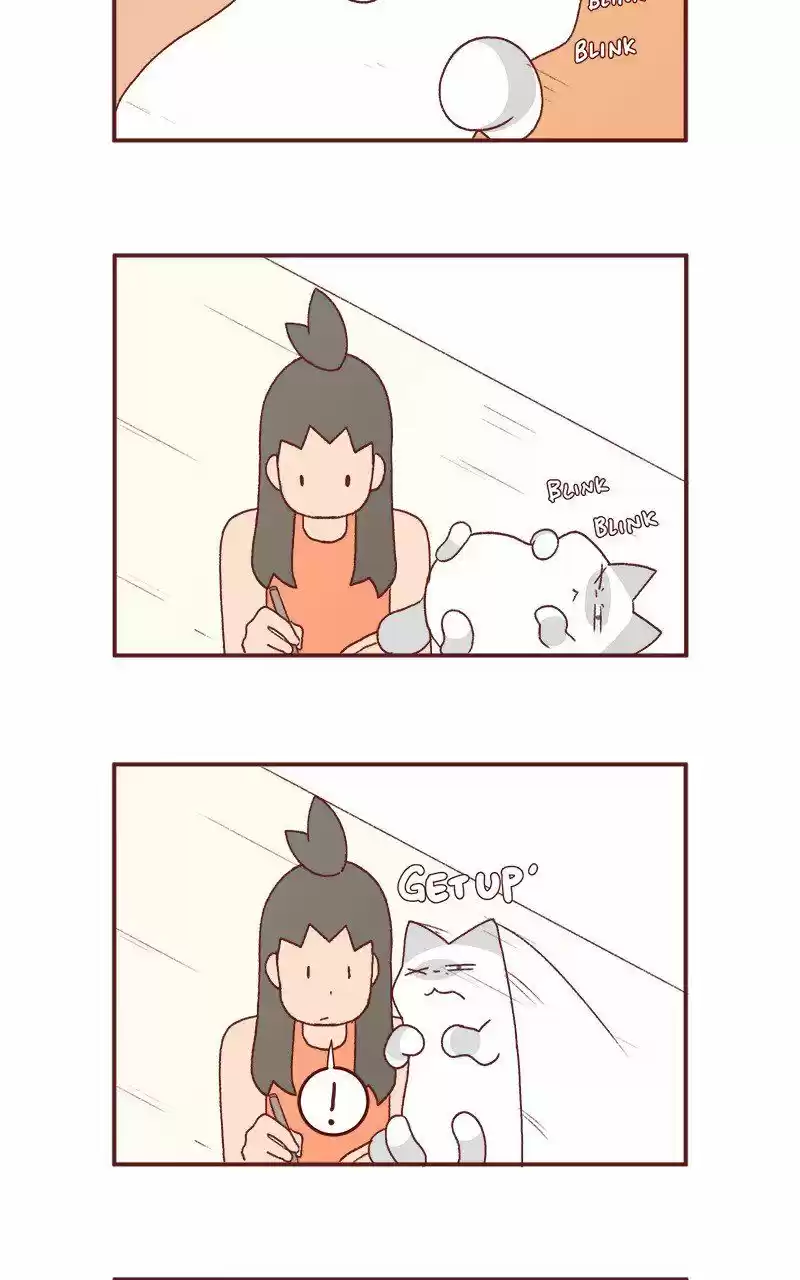 Saphie: The One-Eyed Cat 211