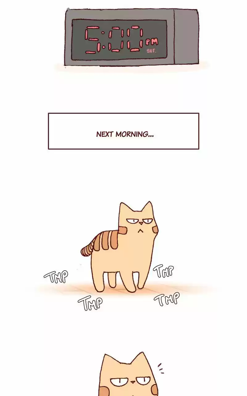 Saphie: The One-Eyed Cat 212