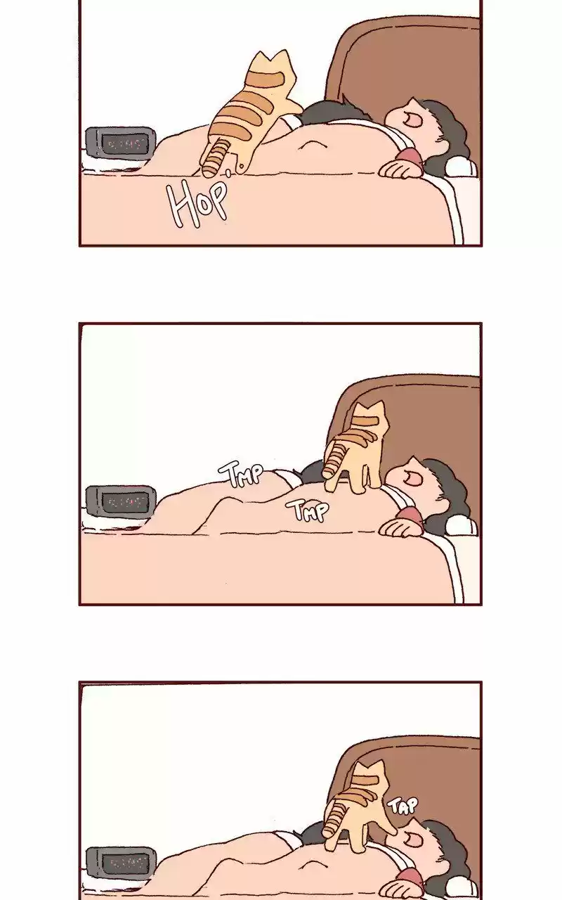 Saphie: The One-Eyed Cat 212