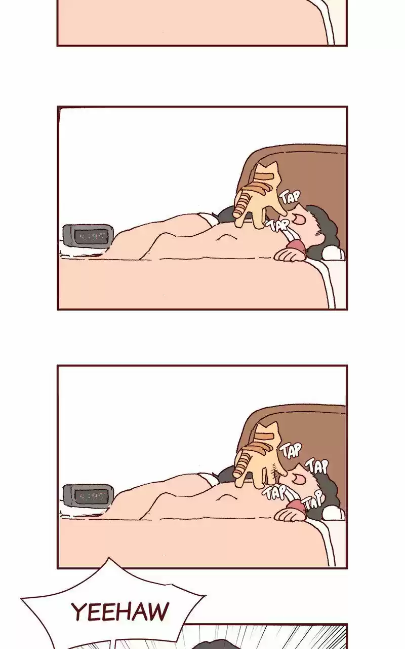 Saphie: The One-Eyed Cat 212