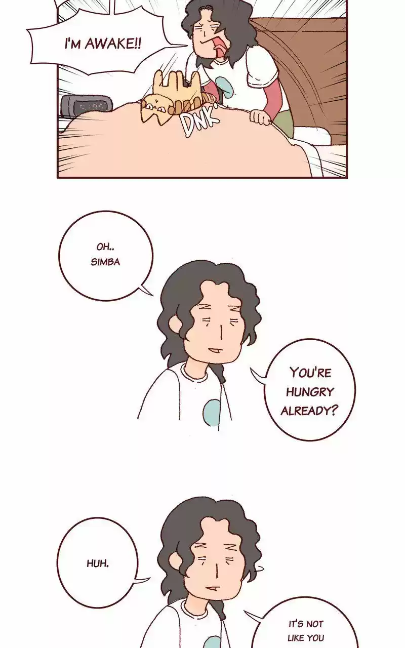 Saphie: The One-Eyed Cat 212