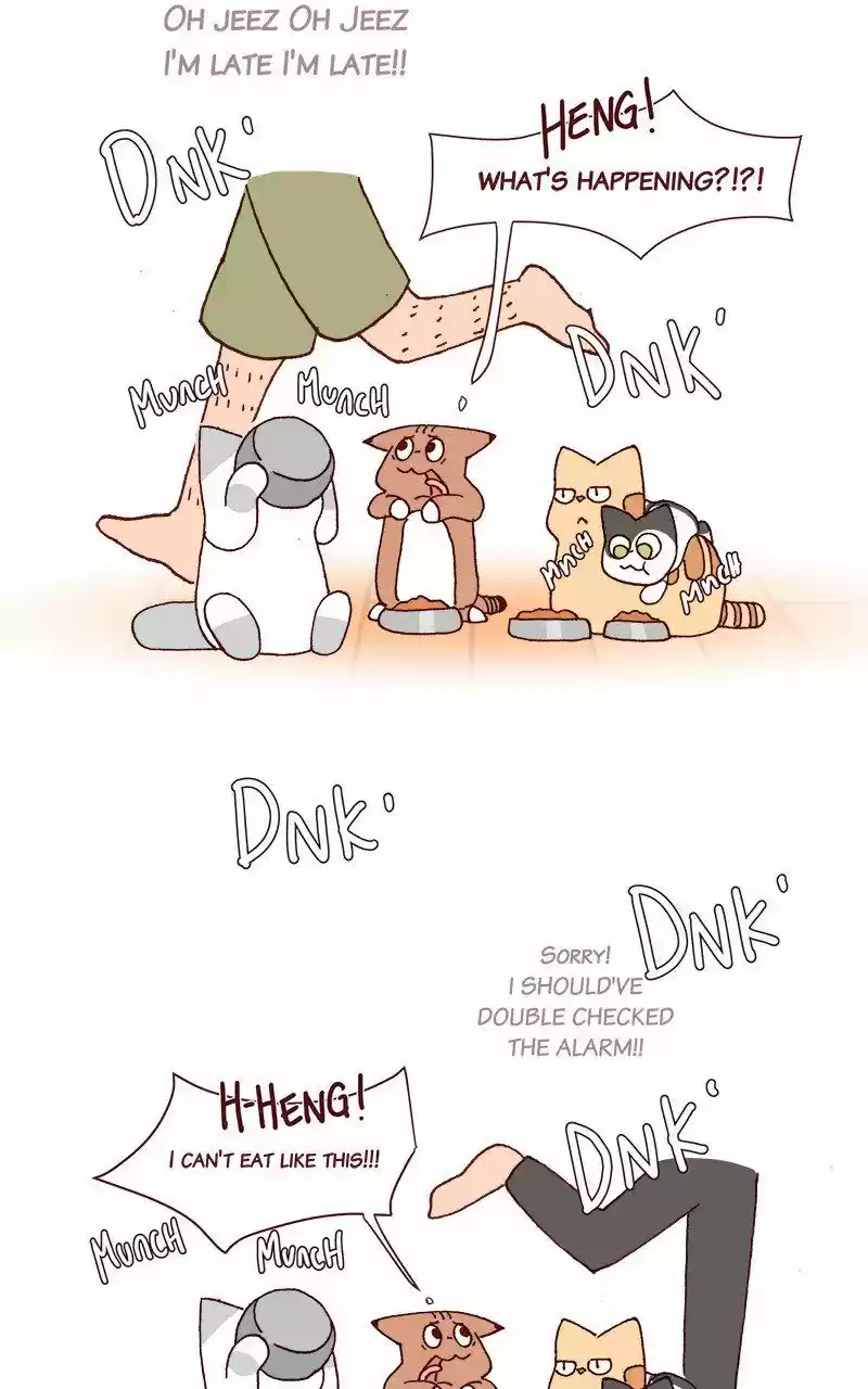 Saphie: The One-Eyed Cat 212