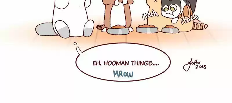 Saphie: The One-Eyed Cat 212