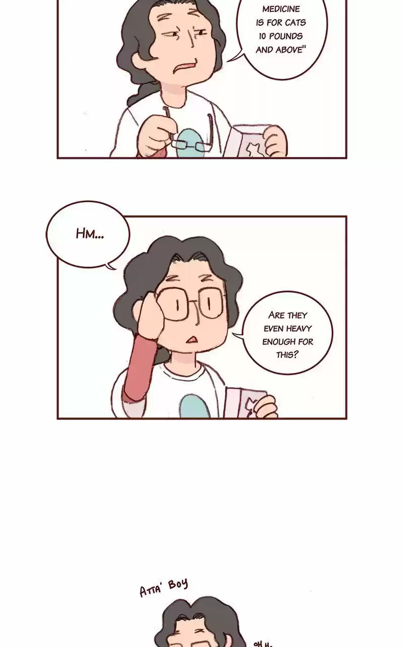 Saphie: The One-Eyed Cat 213