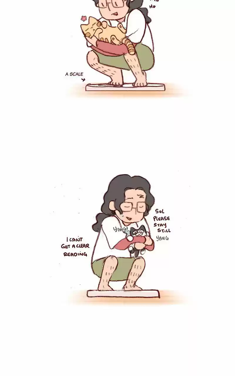 Saphie: The One-Eyed Cat 213