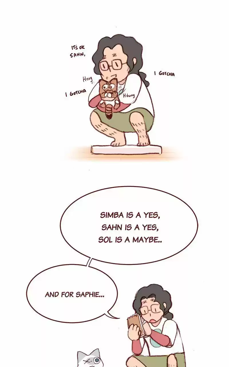 Saphie: The One-Eyed Cat 213