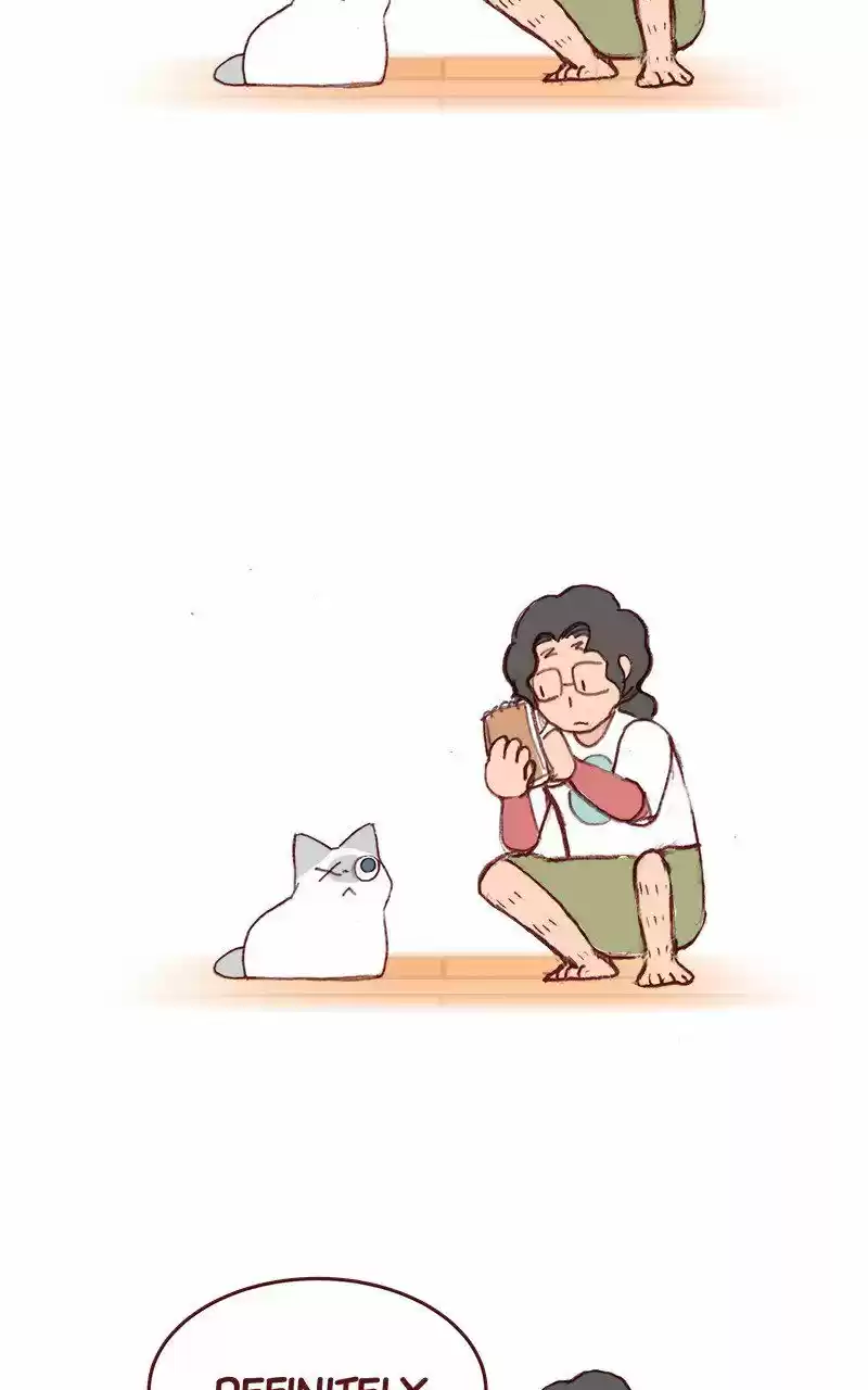 Saphie: The One-Eyed Cat 213