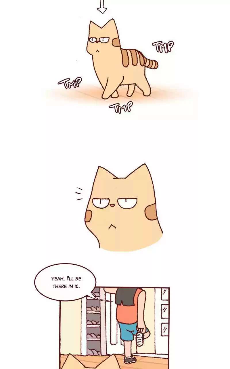 Saphie: The One-Eyed Cat 215