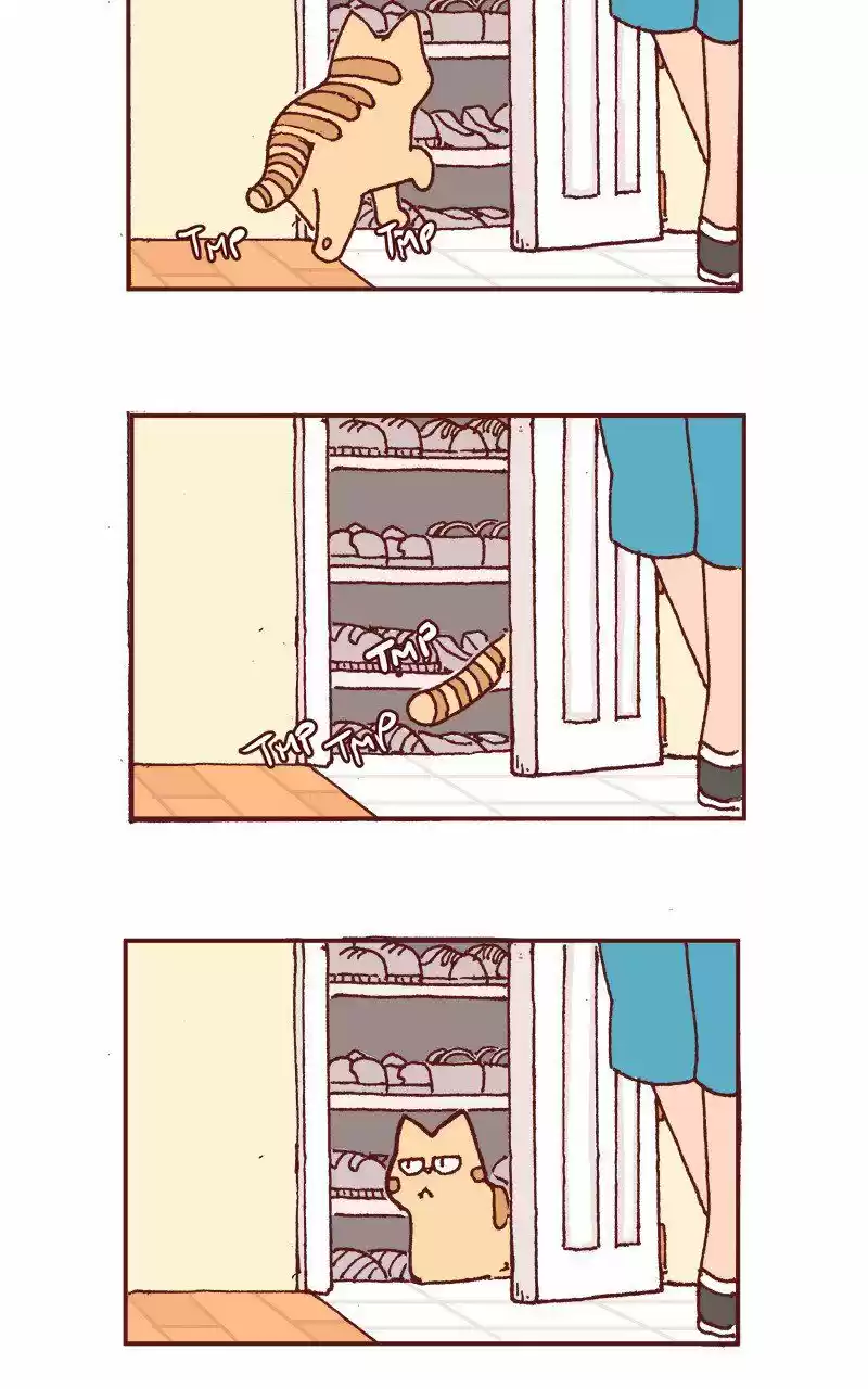 Saphie: The One-Eyed Cat 215