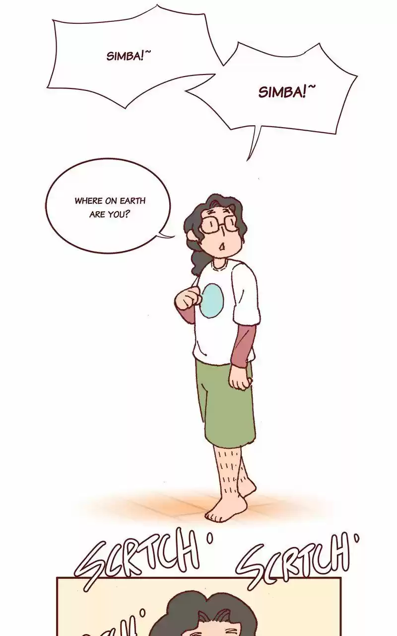 Saphie: The One-Eyed Cat 215