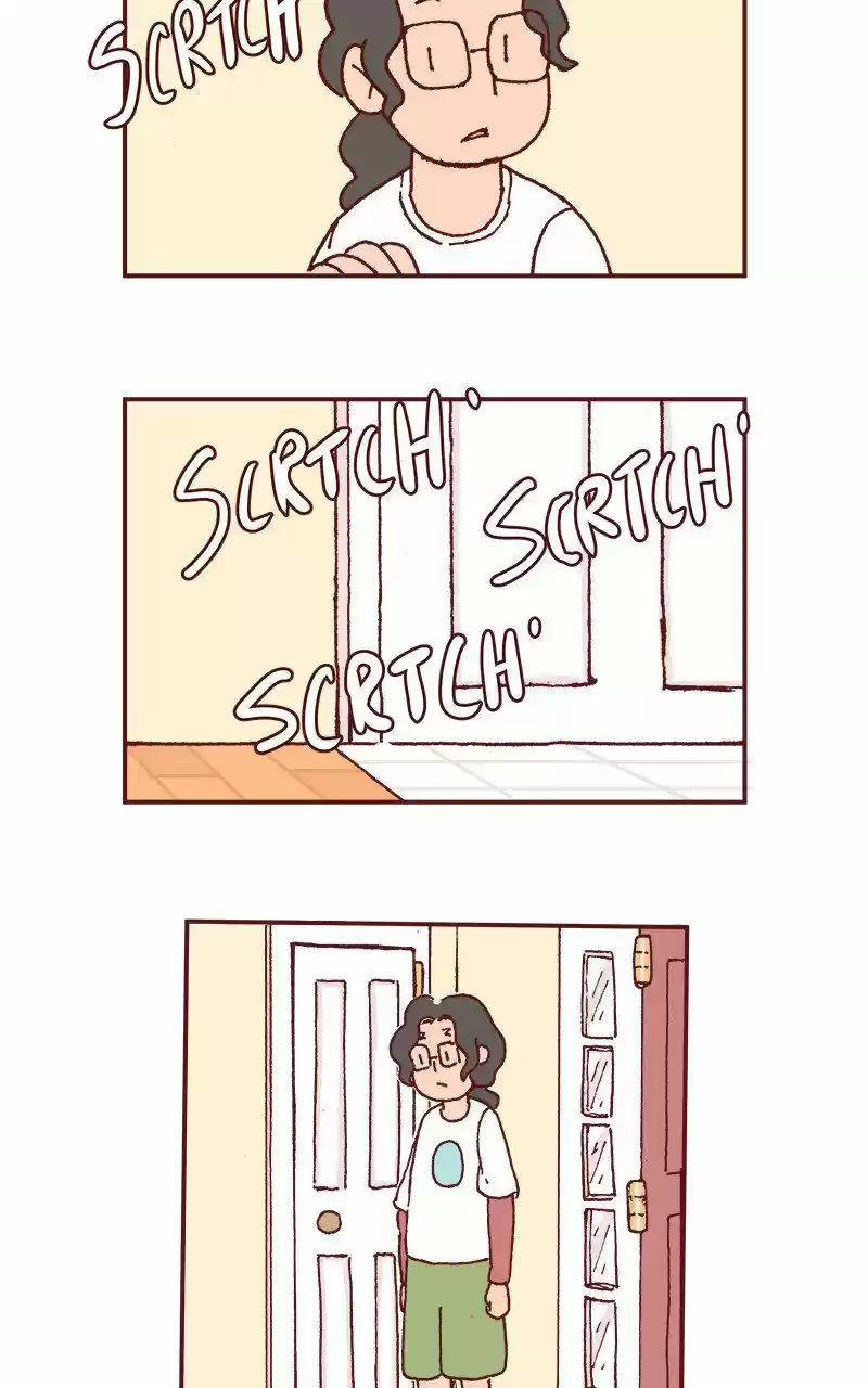 Saphie: The One-Eyed Cat 215