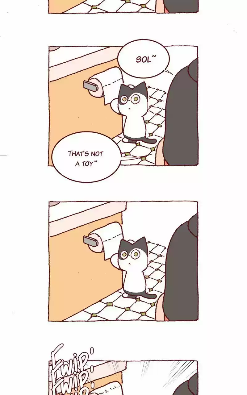 Saphie: The One-Eyed Cat 216