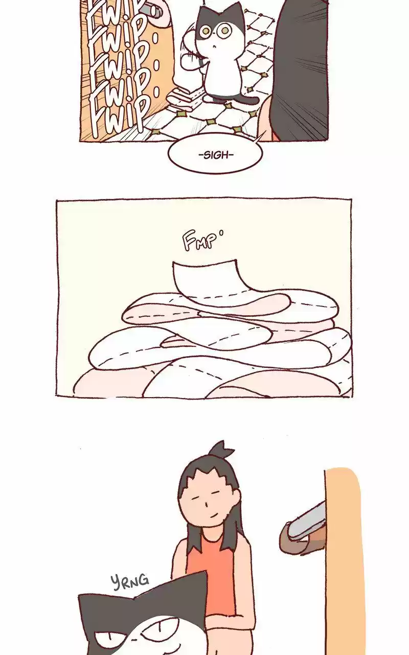 Saphie: The One-Eyed Cat 216