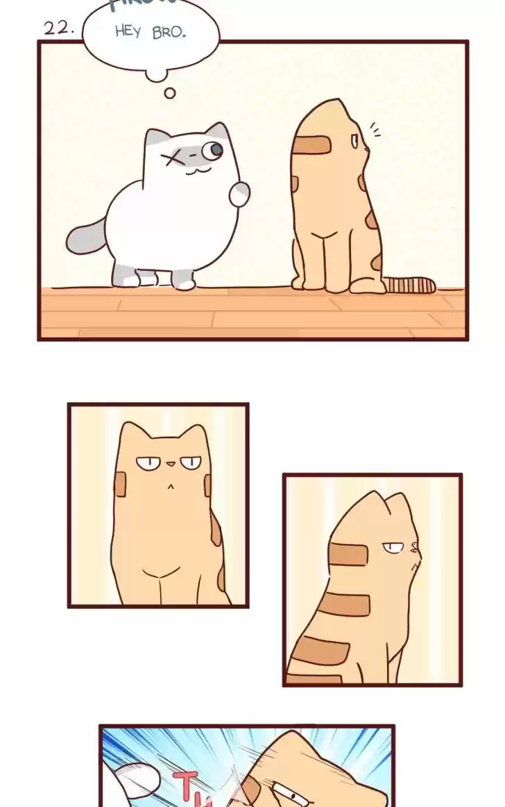 Saphie: The One-Eyed Cat 22