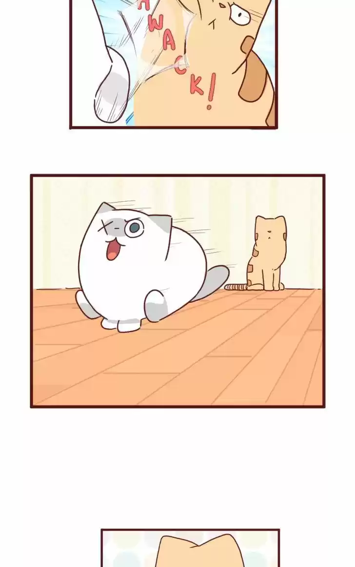 Saphie: The One-Eyed Cat 22