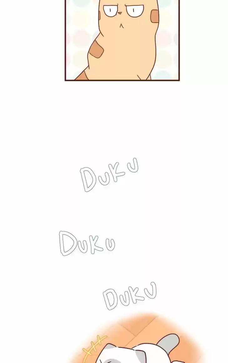 Saphie: The One-Eyed Cat 22