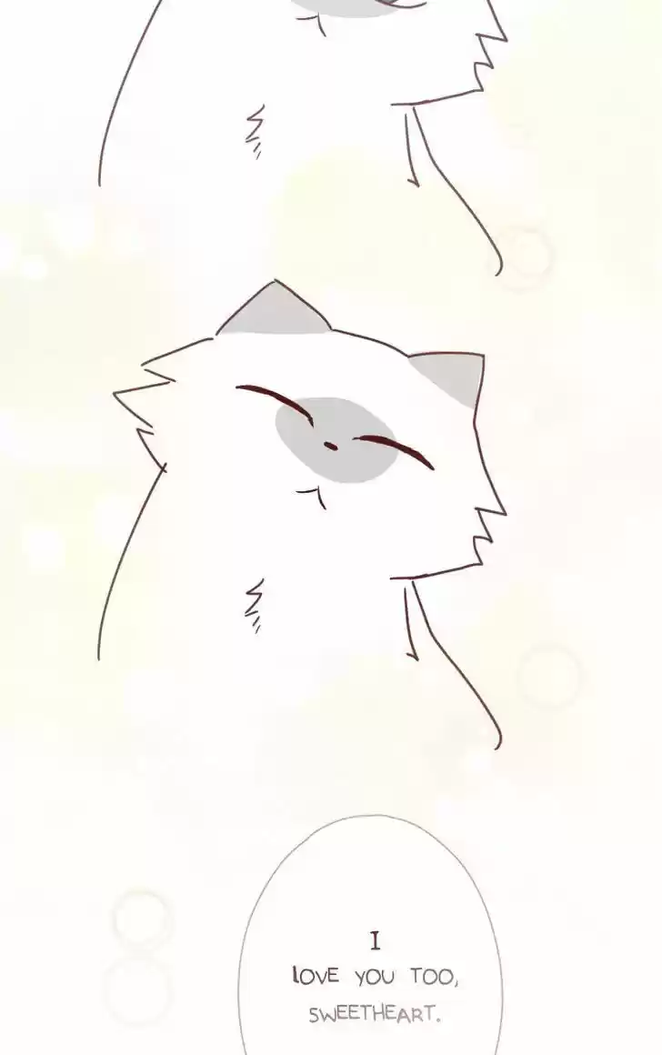 Saphie: The One-Eyed Cat 22