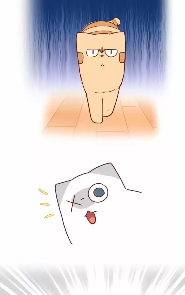 Saphie: The One-Eyed Cat 22