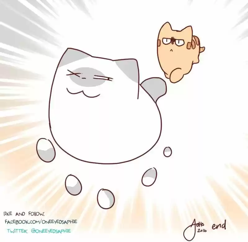 Saphie: The One-Eyed Cat 22