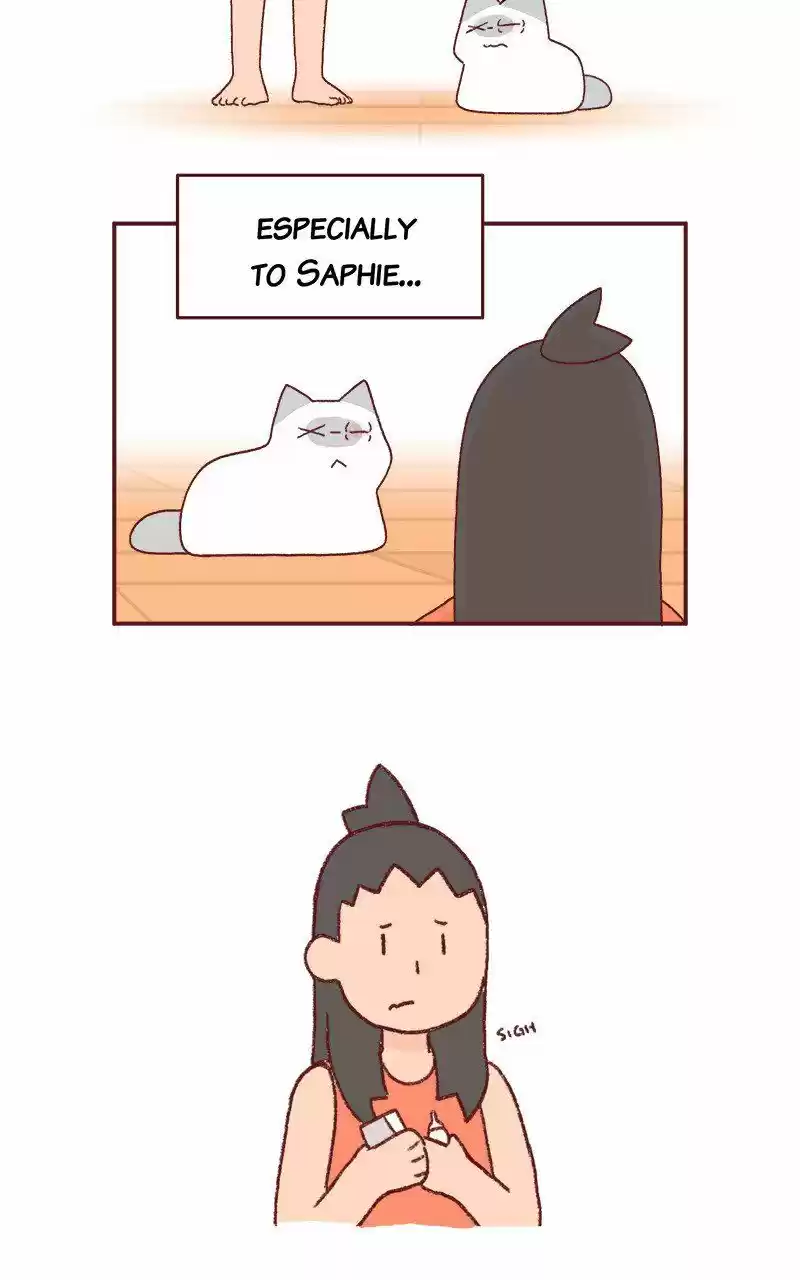 Saphie: The One-Eyed Cat 227