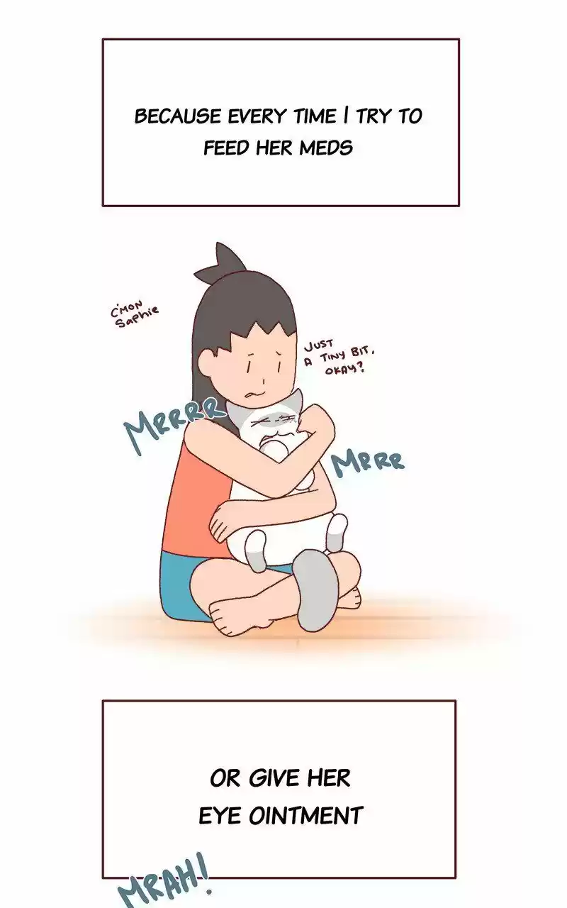 Saphie: The One-Eyed Cat 227