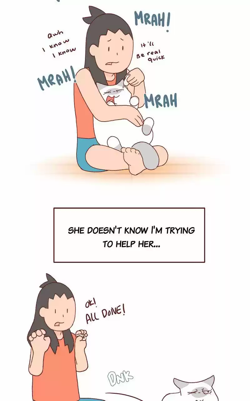 Saphie: The One-Eyed Cat 227