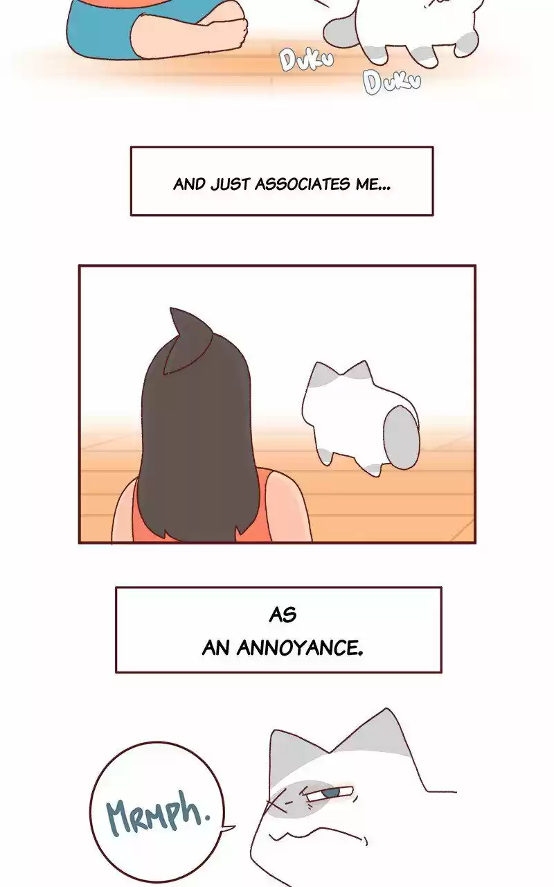 Saphie: The One-Eyed Cat 227