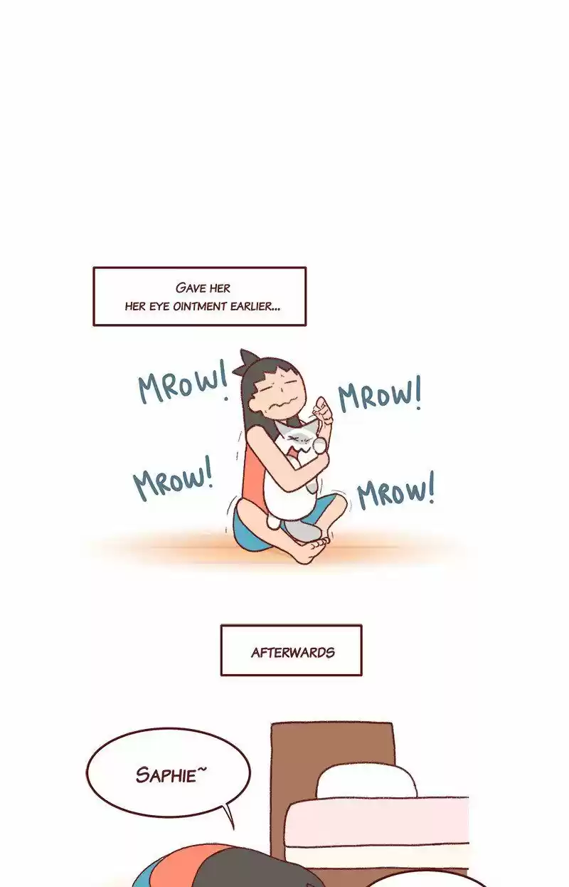 Saphie: The One-Eyed Cat 228