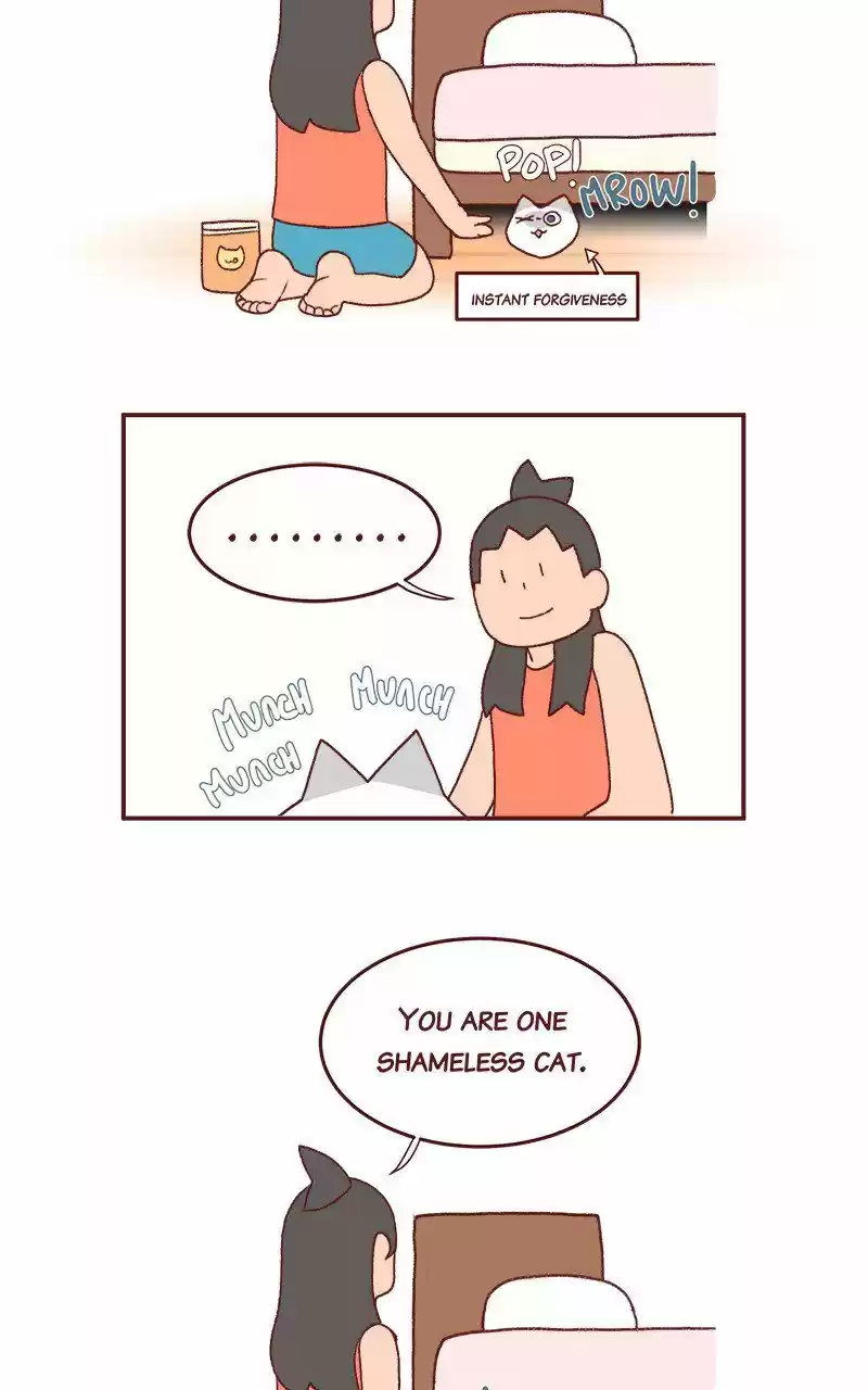 Saphie: The One-Eyed Cat 228