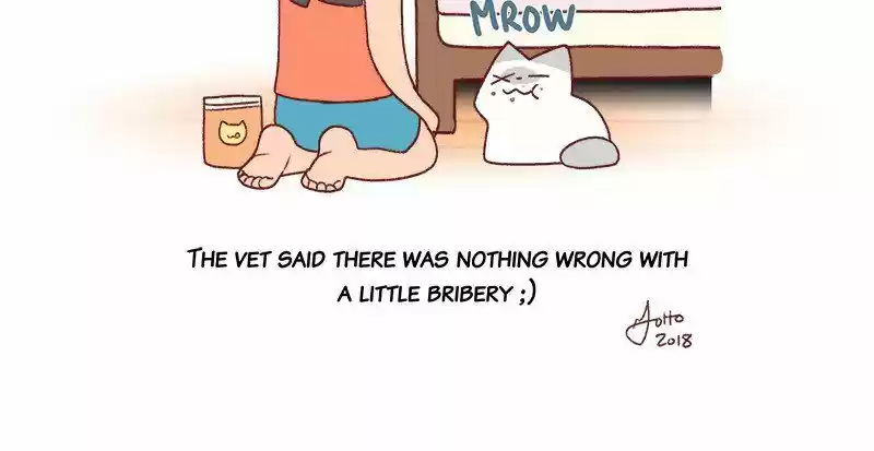 Saphie: The One-Eyed Cat 228