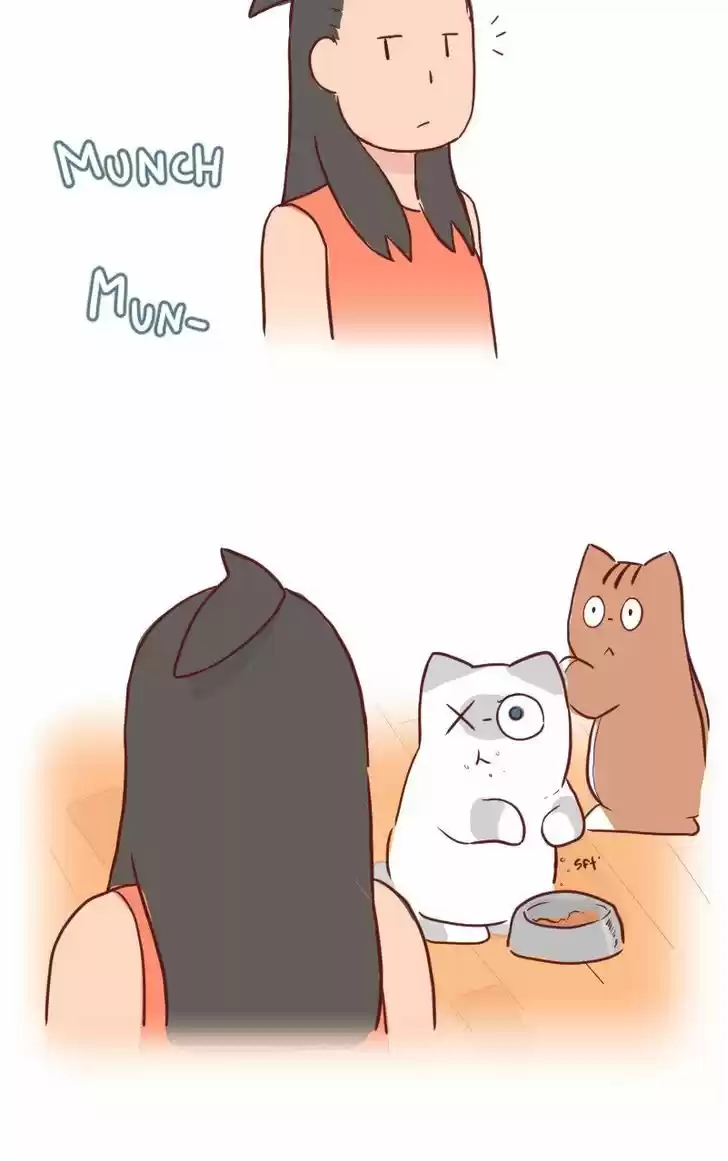 Saphie: The One-Eyed Cat 23