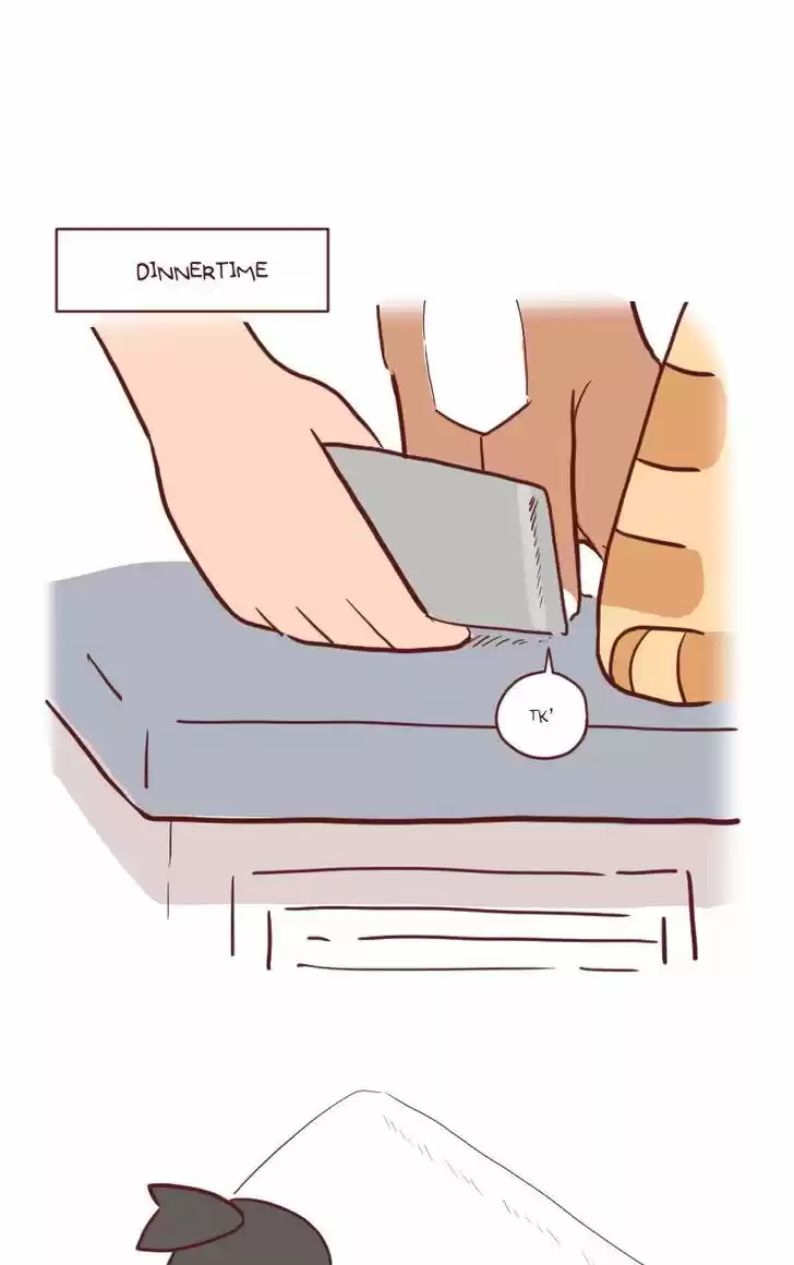 Saphie: The One-Eyed Cat 23