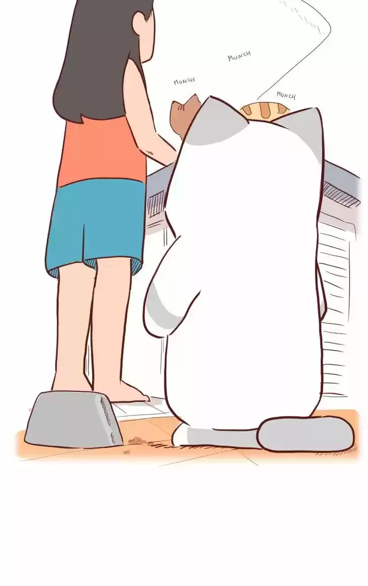 Saphie: The One-Eyed Cat 23