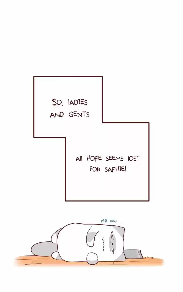 Saphie: The One-Eyed Cat 23