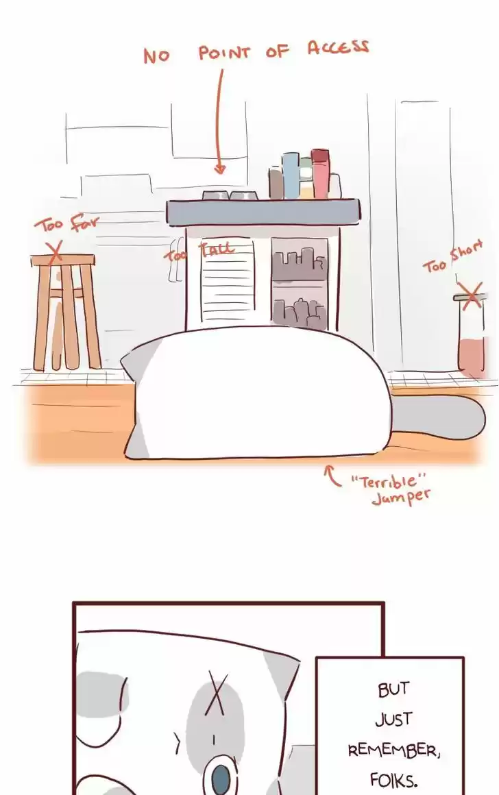 Saphie: The One-Eyed Cat 23