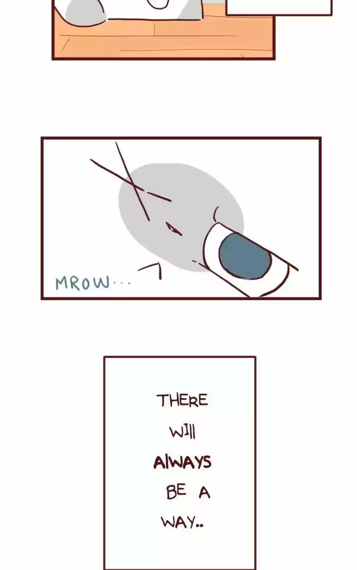 Saphie: The One-Eyed Cat 23