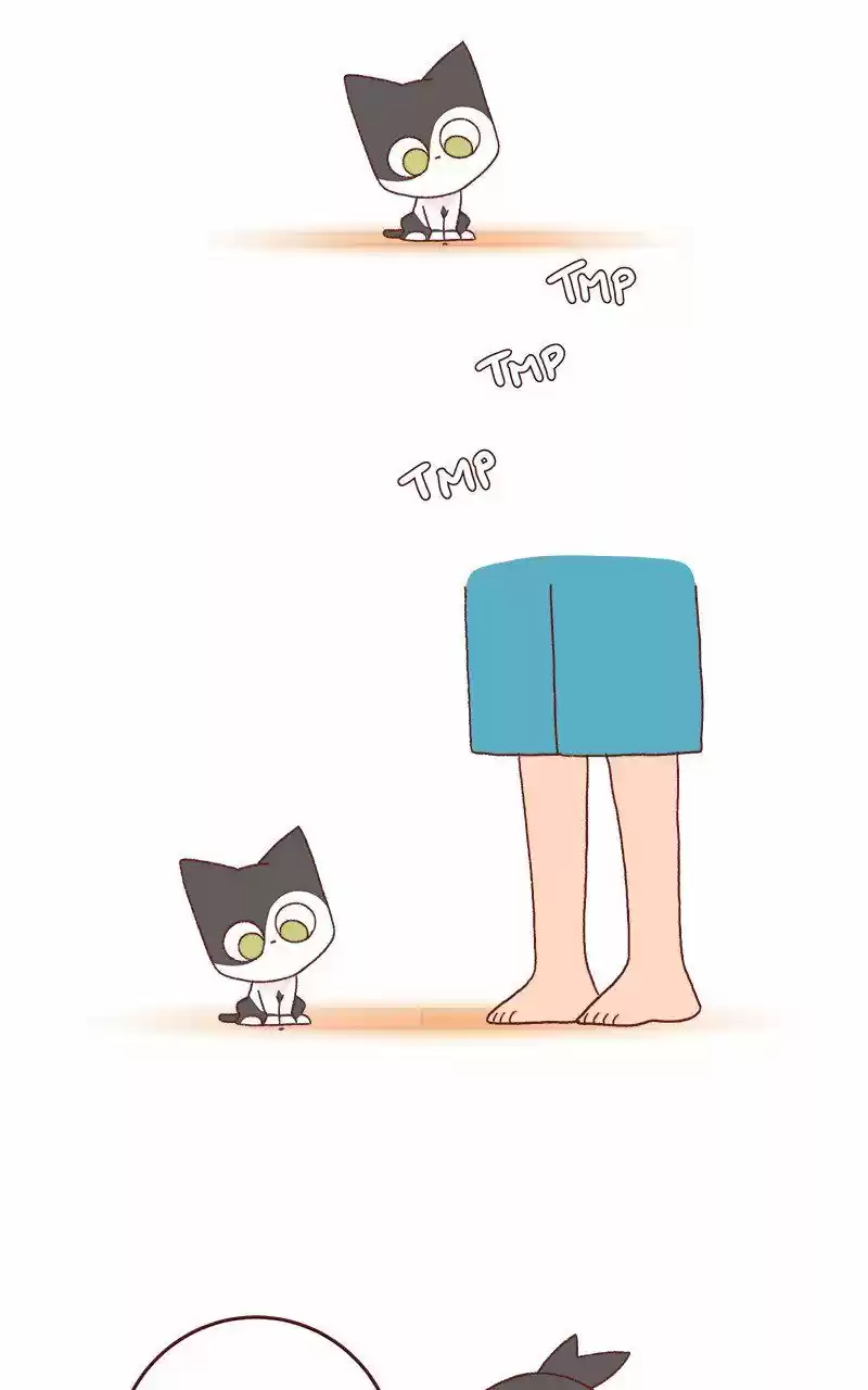 Saphie: The One-Eyed Cat 231