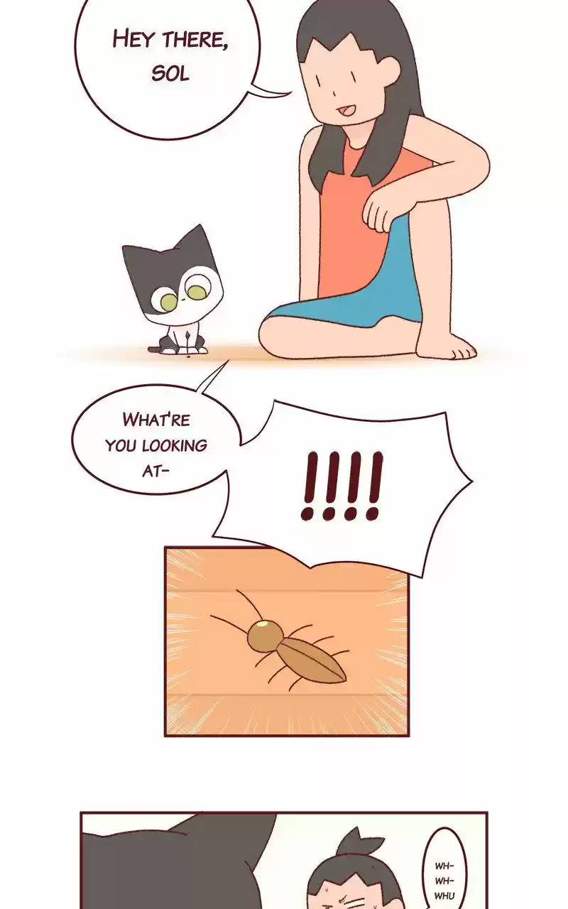 Saphie: The One-Eyed Cat 231