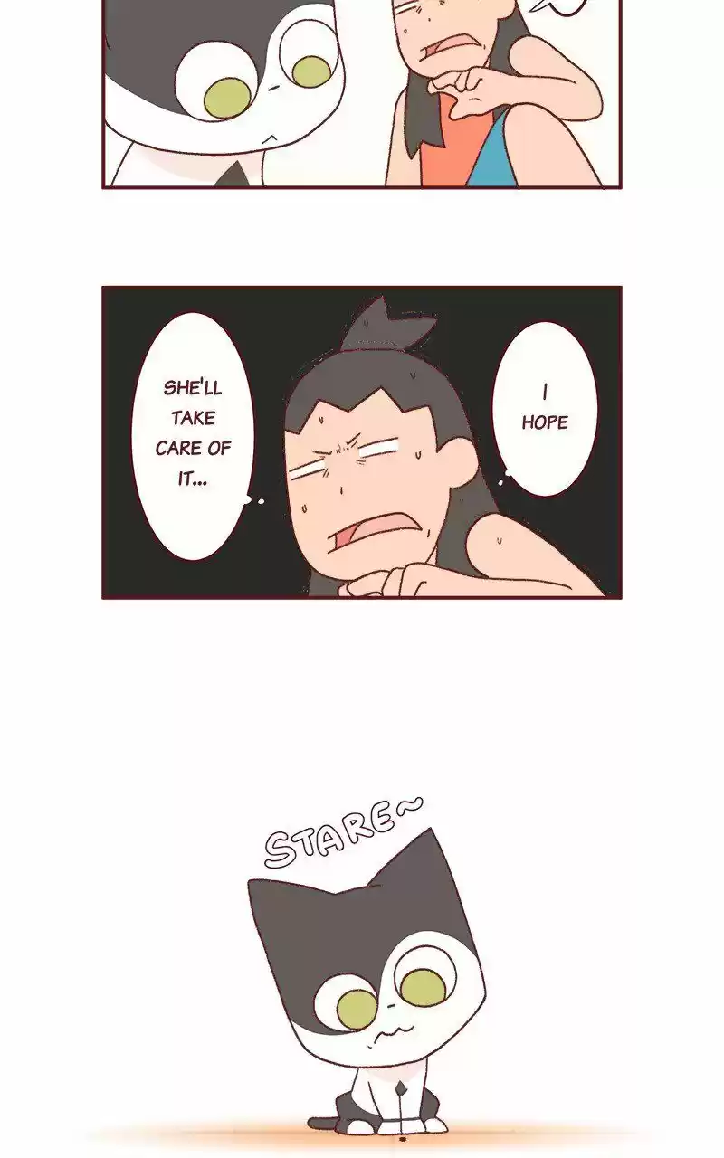 Saphie: The One-Eyed Cat 231