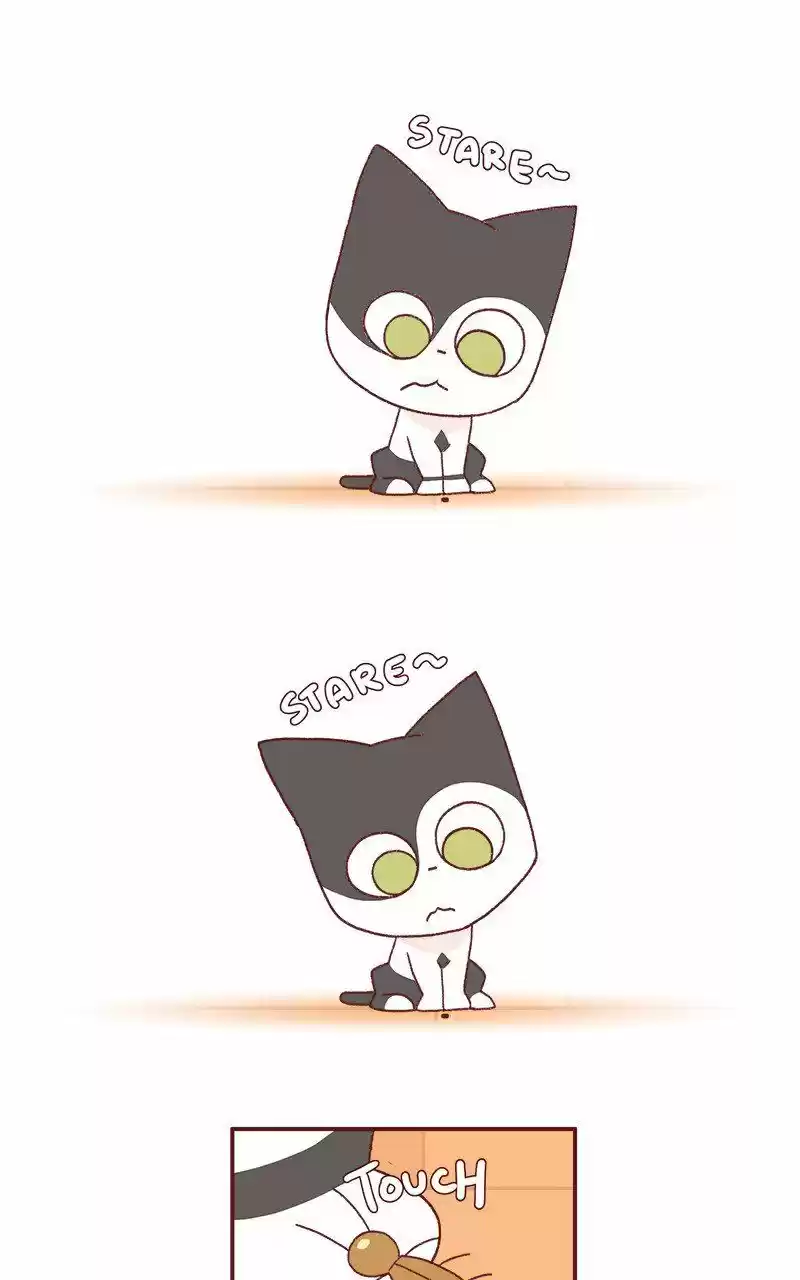 Saphie: The One-Eyed Cat 231