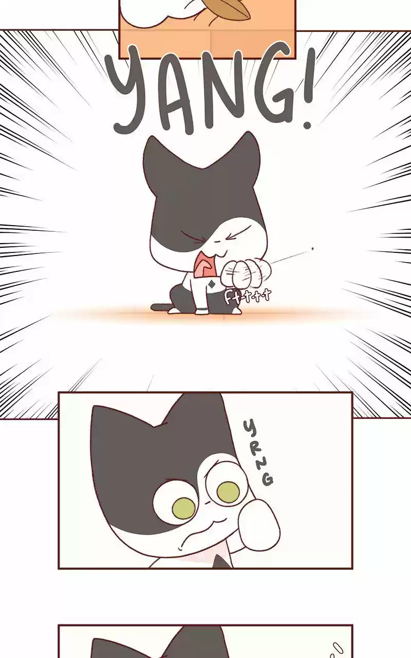 Saphie: The One-Eyed Cat 231