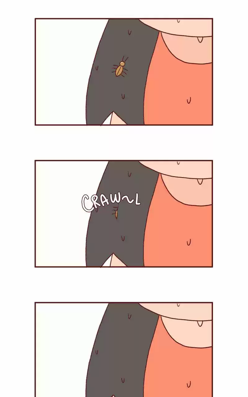 Saphie: The One-Eyed Cat 231