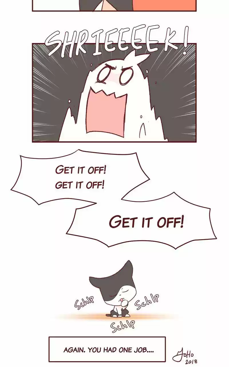 Saphie: The One-Eyed Cat 231