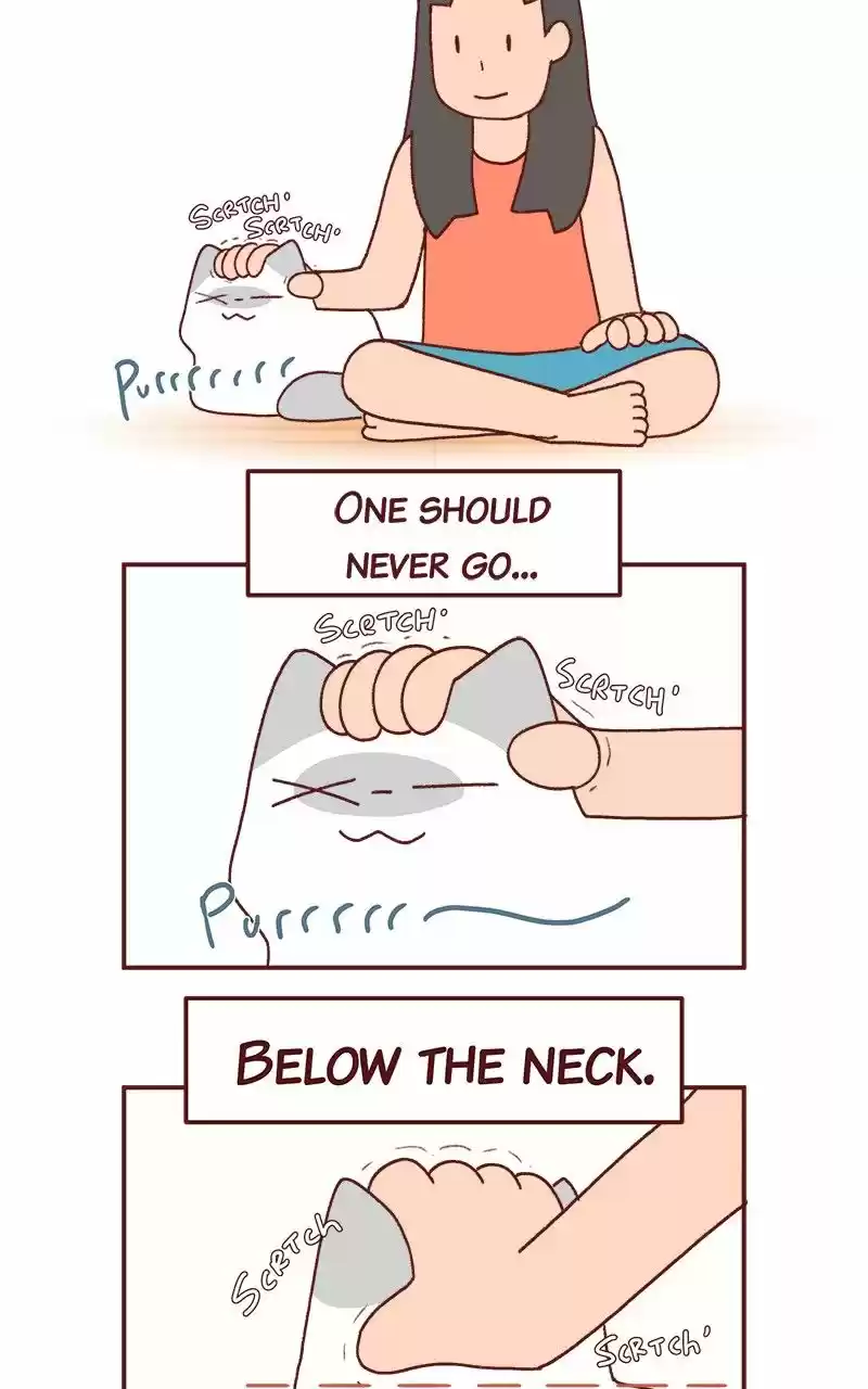 Saphie: The One-Eyed Cat 236