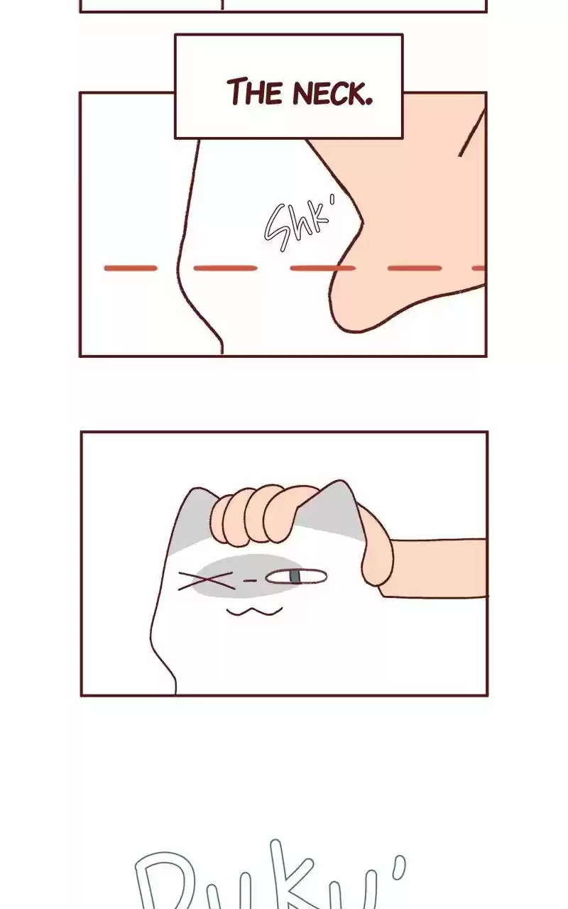 Saphie: The One-Eyed Cat 236