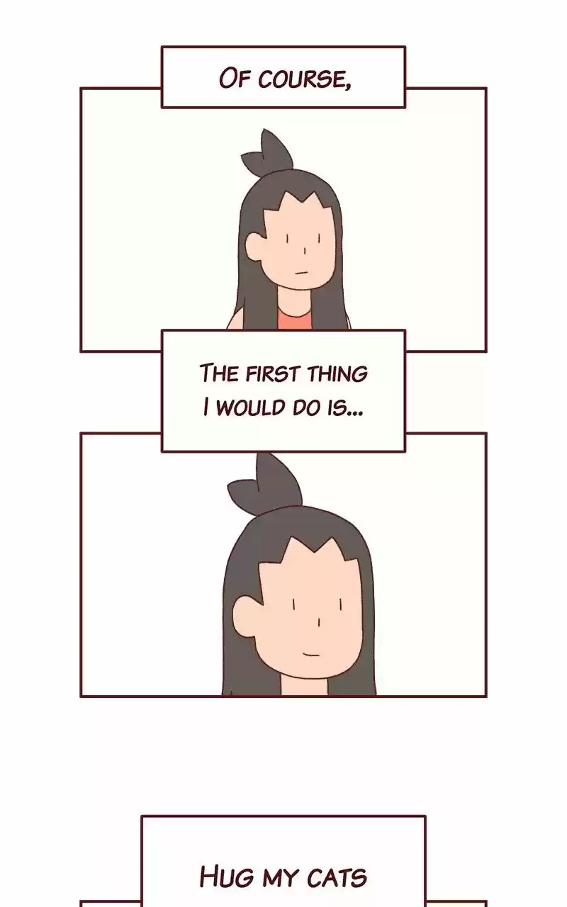 Saphie: The One-Eyed Cat 238